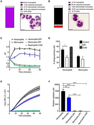 Variations in the Phagosomal Environment of Human Neutrophils and Mononuclear Phagocyte Subsets